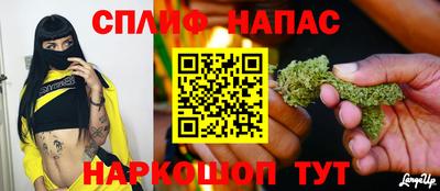 бошки Камышлов